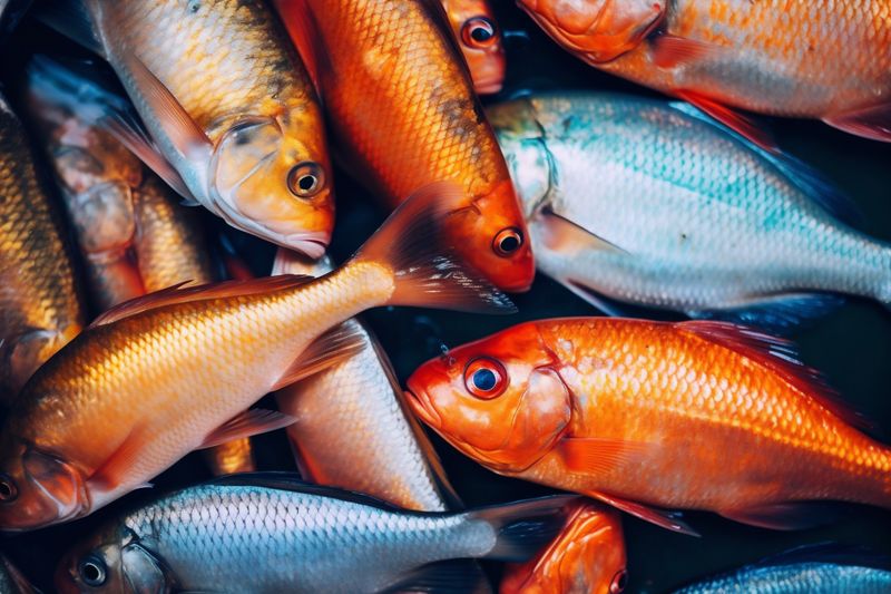 dinner fish raw background fresh seafood healthy meal food smoked cooking. Generative AI.