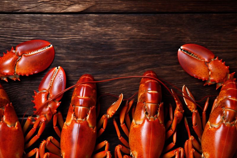 crawfish cooked food boiled claw shell lobster seafood red background crayfish. Generative AI.