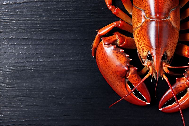 claw food red crayfish cooked background lobster seafood boiled dinner crawfish. Generative AI.