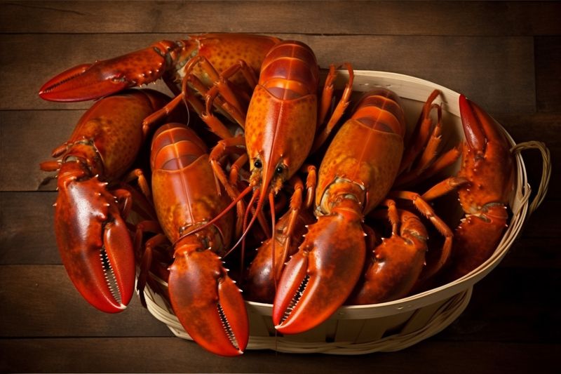 lobster crayfish fresh red seafood claw boiled crawfish food background cooked. Generative AI.