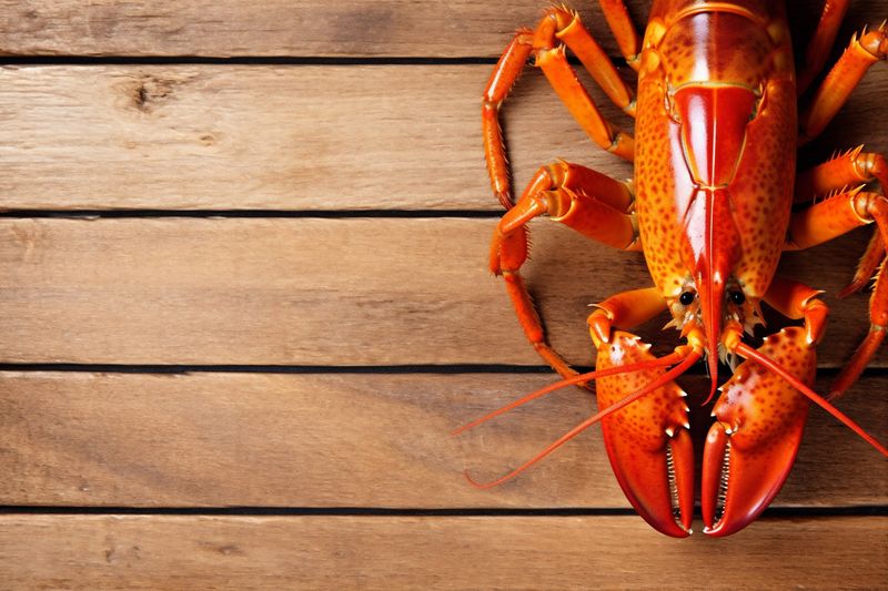seafood food crawfish crayfish background boiled red dark claw cooked lobster. Generative AI.