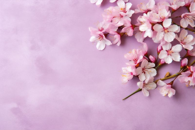 pink background nature green bouquet valentine leaf floral wedding blossom flower. Generative AI.