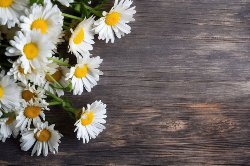 background blossom beautiful nature valentine pink leaf flower bouquet wedding floral. Generative AI.