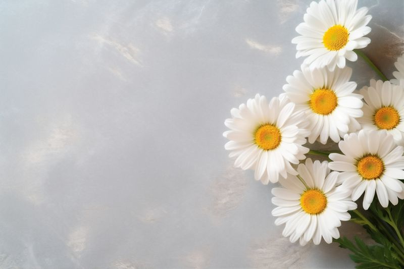 leaf pink valentine floral background minimal wedding bouquet flower blossom nature. Generative AI.