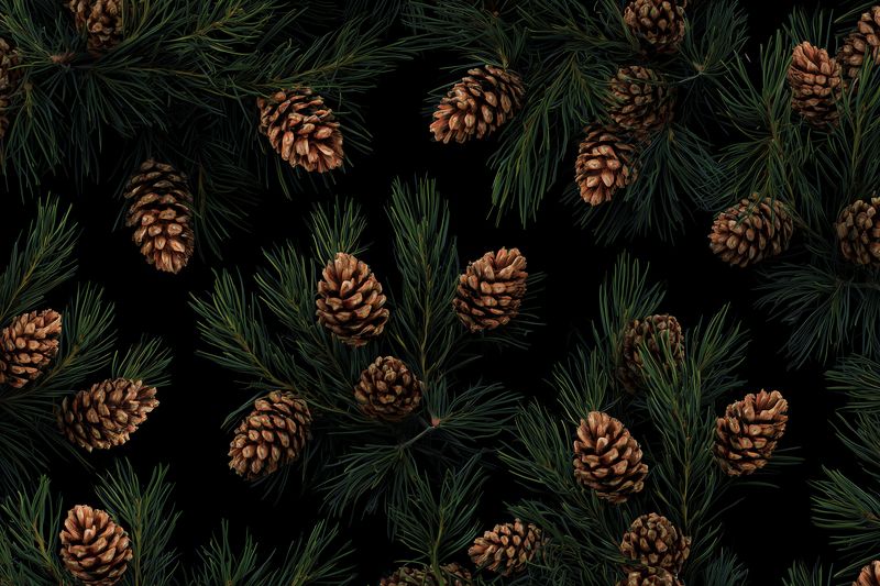 Close-up arrangement of pine cones and evergreen pine branches on a dark background, creating a rich seasonal texture and natural botanical pattern for holiday or nature themes.