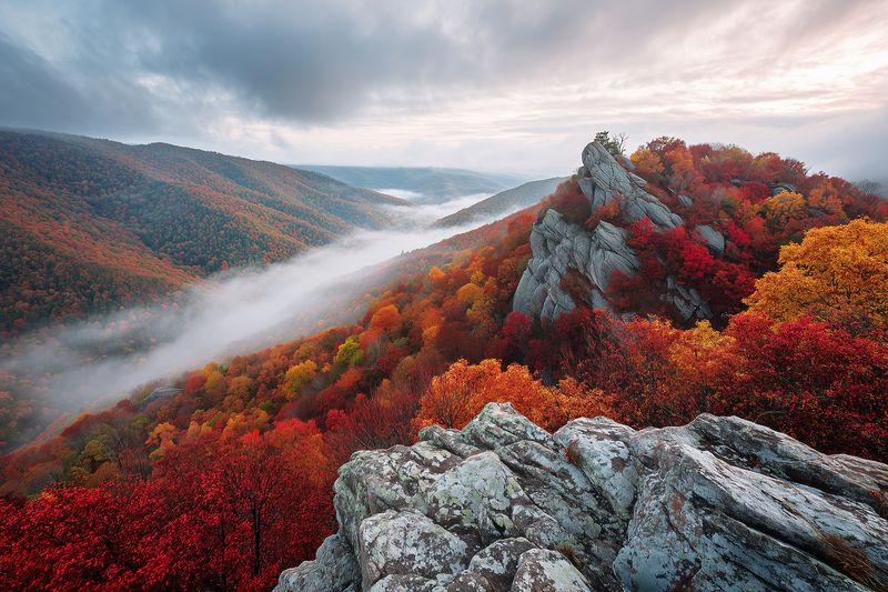 Autumn mountain landscape with dramatic rocky outcrops and vibrant fall foliage, low mist filling the valley at sunrise, highlighting textured cliffs and expansive layered ridgelines.