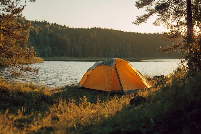 Orange tent pitched beside a calm lake at golden hour, surrounded by grass and pine trees. A serene camping scene with warm light, reflective water and distant forested hills.