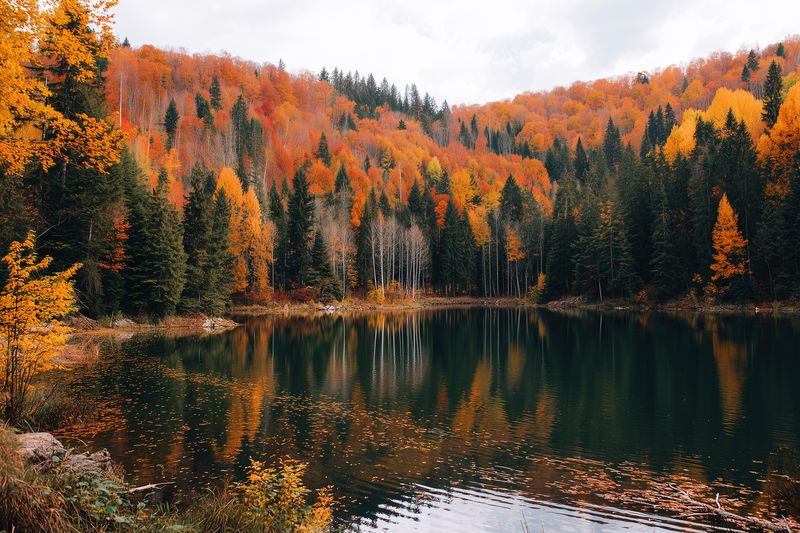 Autumn landscape with colorful deciduous forest surrounding a calm lake, vibrant orange and yellow foliage reflected in still water under a cloudy sky creating a peaceful seasonal scene.