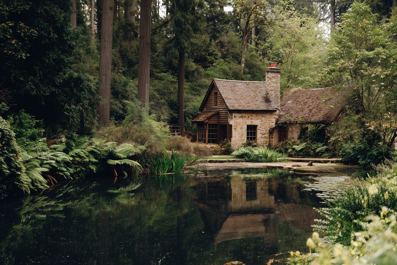 Secluded stone cottage nestled in a lush forest clearing beside a tranquil pond, reflecting mossy roof and chimney, surrounded by ferns and towering trees in soft natural light.