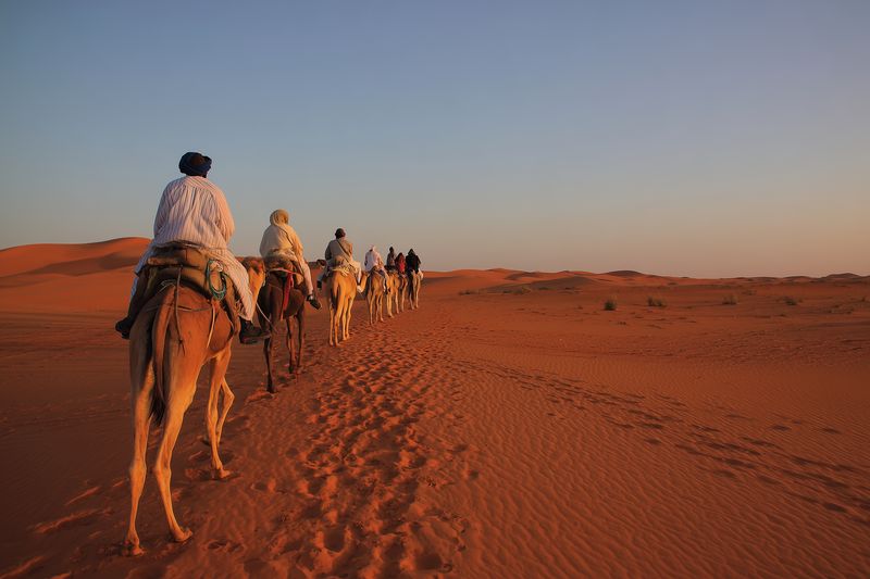A camel caravan crosses golden sand dunes at sunset, riders in traditional clothing following a winding trail of footprints across the vast, sunlit desert landscape.