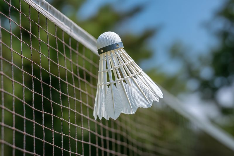 Close-up of a white feather badminton shuttlecock caught on a net during an outdoor match, showing texture and motion against a blurred green background with natural light.